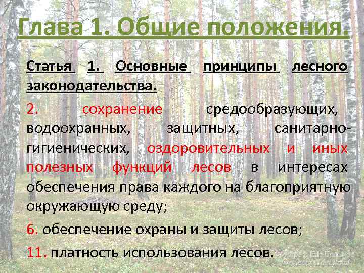 Глава 1. Общие положения. Статья 1. Основные принципы лесного законодательства. 2. сохранение Глава 1. Общие положения. Статья 1. Основные принципы лесного законодательства. 2. сохранение
