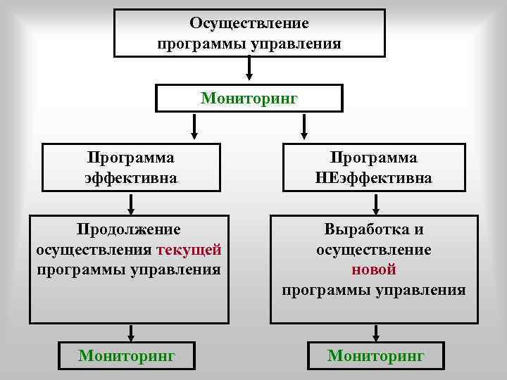    Осуществление   программы управления     Мониторинг 