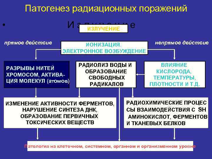    Патогенез радиационных поражений •     Излучение  