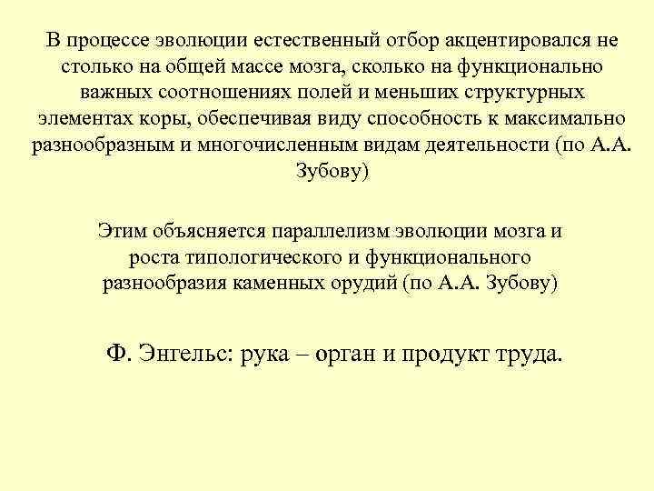 В процессе эволюции естественный отбор акцентировался не столько на общей массе мозга, сколько В процессе эволюции естественный отбор акцентировался не столько на общей массе мозга, сколько