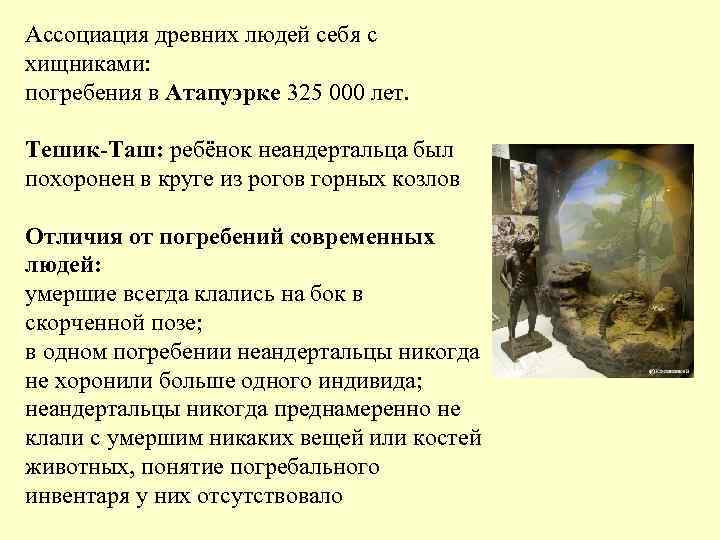 Ассоциация древних людей себя с хищниками: погребения в Атапуэрке 325 000 лет. Тешик-Таш: Ассоциация древних людей себя с хищниками: погребения в Атапуэрке 325 000 лет. Тешик-Таш: