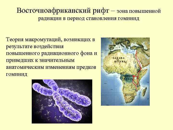 Восточноафриканский рифт – зона повышенной радиации в период становления гоминид Восточноафриканский рифт – зона повышенной радиации в период становления гоминид