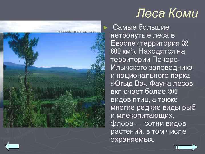    Леса Коми ►  Самые большие нетронутые леса в Европе (территория