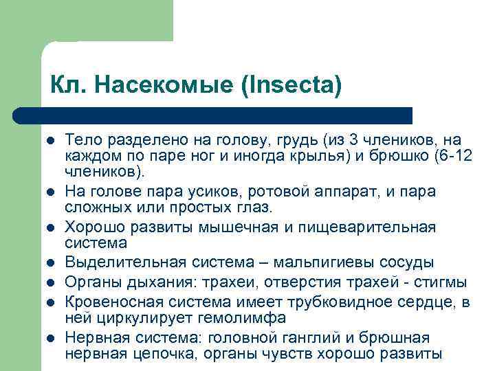 Кл. Насекомые (Insecta) l  Тело разделено на голову, грудь (из 3 члеников, на