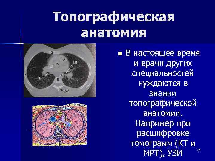 Топографическая  анатомия  n  В настоящее время   и врачи других
