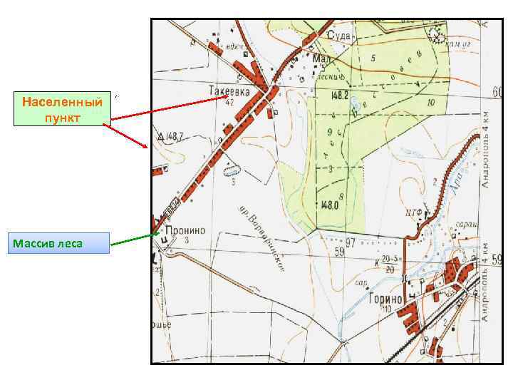  Населенный пункт Массив леса 