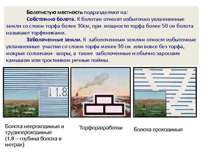   Болотистую местность подразделяют на:   Собственно болота. К болотам относят избыточно