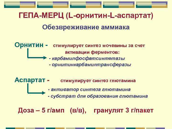 ГЕПА-МЕРЦ (L-орнитин-L-аспартат) Обезвреживание аммиака Орнитин - стимулирует синтез мочевины за ГЕПА-МЕРЦ (L-орнитин-L-аспартат) Обезвреживание аммиака Орнитин - стимулирует синтез мочевины за