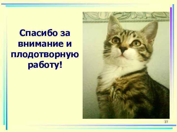  Спасибо за внимание и плодотворную  работу!    27 