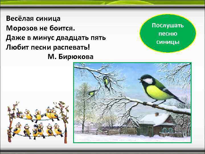 Весёлая синица Морозов не боится.    Послушать     