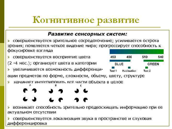 Когнитивное развитие Развитие сенсорных систем: Ø совершенствуется зрительное сосредоточение; Когнитивное развитие Развитие сенсорных систем: Ø совершенствуется зрительное сосредоточение;