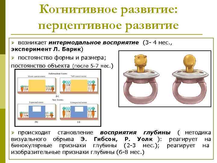 Когнитивное развитие: перцептивное развитие Ø возникает интермодальное восприятие (3 - Когнитивное развитие: перцептивное развитие Ø возникает интермодальное восприятие (3 -