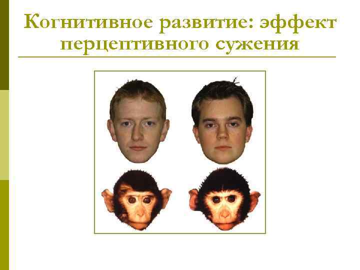Когнитивное развитие: эффект перцептивного сужения Когнитивное развитие: эффект перцептивного сужения