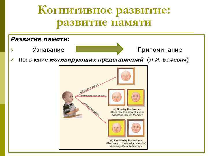 Когнитивное развитие: развитие памяти Развитие памяти: Ø Узнавание Когнитивное развитие: развитие памяти Развитие памяти: Ø Узнавание