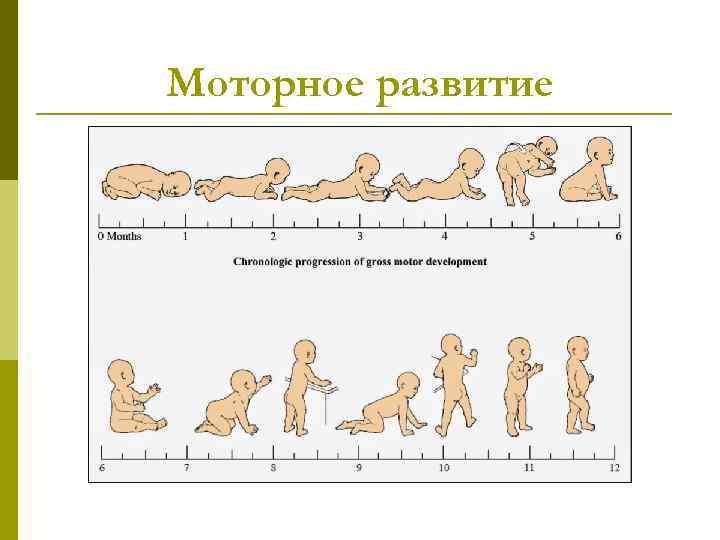 Презентация рост и развитие ребенка