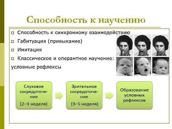 Способность к научению p Способность к синхронному взаимодействию p Габитуация Способность к научению p Способность к синхронному взаимодействию p Габитуация