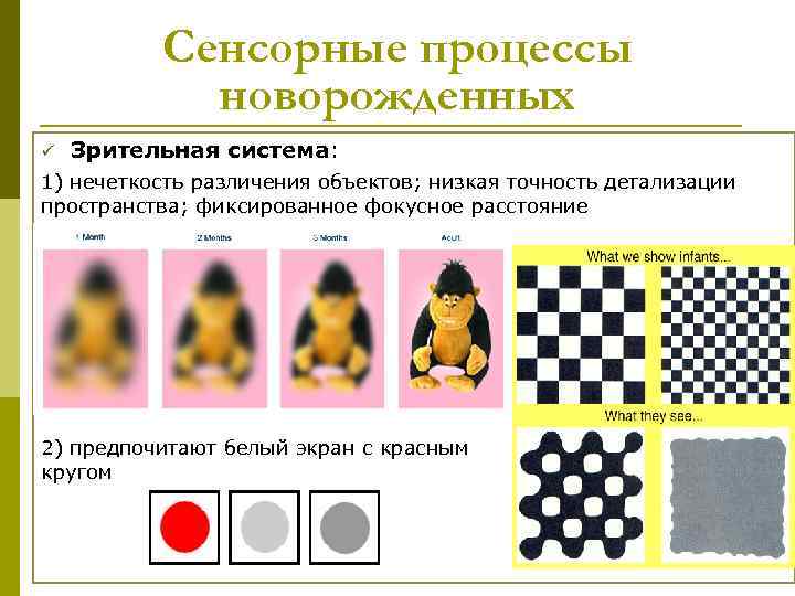 Сенсорные процессы новорожденных ü Зрительная система: 1) нечеткость Сенсорные процессы новорожденных ü Зрительная система: 1) нечеткость