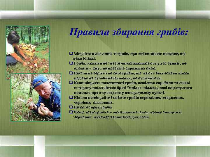 Правила збирання грибів: q Збирайте в лісі лише ті гриби, про які ви знаєте