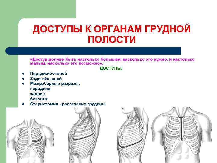 ДОСТУПЫ К ОРГАНАМ ГРУДНОЙ   ПОЛОСТИ «Доступ должен быть настолько большим, насколько