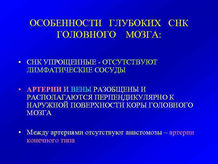   ОСОБЕННОСТИ ГЛУБОКИХ СНК  ГОЛОВНОГО МОЗГА:  • СНК УПРОЩЕННЫЕ - ОТСУТСТВУЮТ