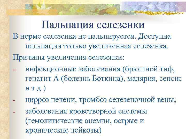   Пальпация селезенки В норме селезенка не пальпируется. Доступна  пальпации только увеличенная