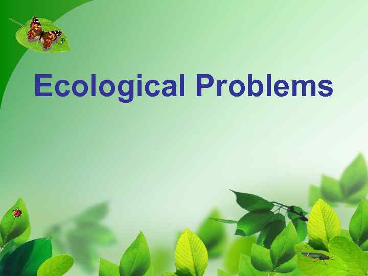 Ecological Problems 