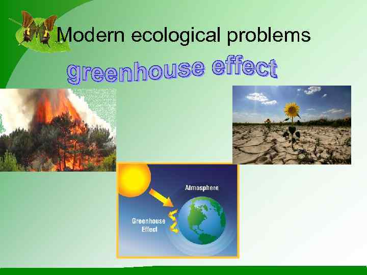 Modern ecological problems 