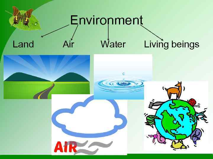   Environment Land  Air  Water  Living beings 
