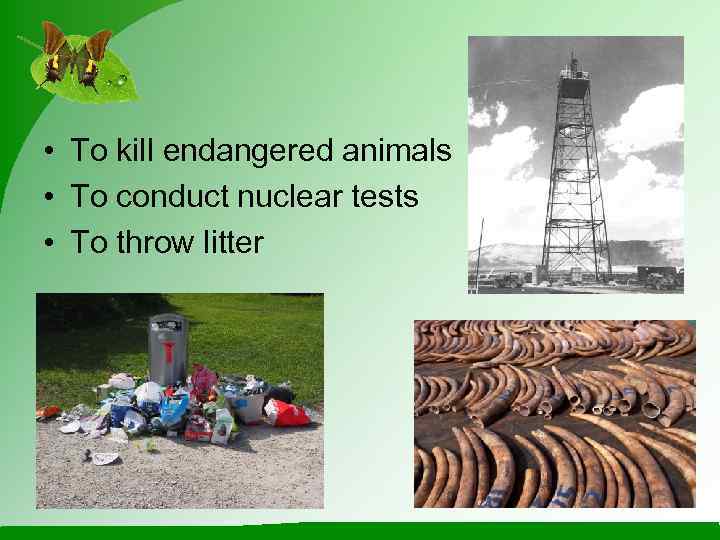  • To kill endangered animals • To conduct nuclear tests • To throw
