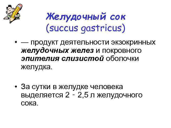   Желудочный сок   (succus gastricus) • — продукт деятельности экзокринных 