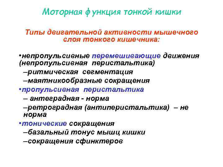 Моторная функция тонкой кишки Типы двигательной активности мышечного слоя тонкого кишечника: Моторная функция тонкой кишки Типы двигательной активности мышечного слоя тонкого кишечника: