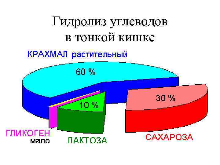 Гидролиз углеводов  в тонкой кишке 