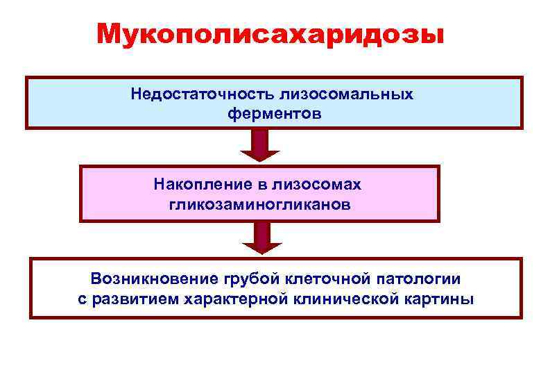  Мукополисахаридозы  Недостаточность лизосомальных      ферментов  Накопление в