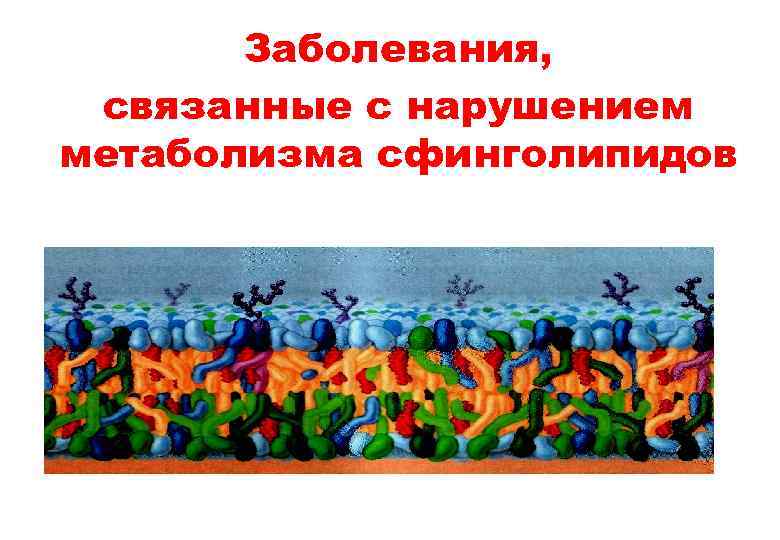   Заболевания,  связанные с нарушением   метаболизма сфинголипидов 
