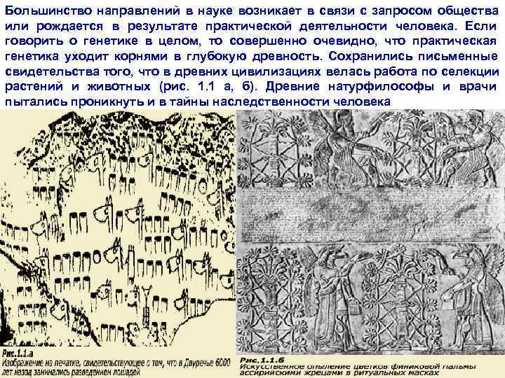 Большинство направлений в науке возникает в связи с запросом общества или рождается в результате