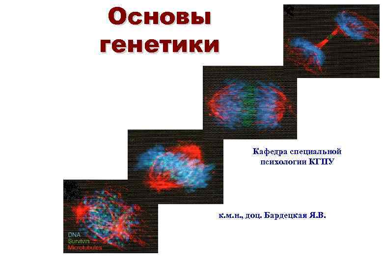  Основы генетики    Кафедра специальной   психологии КГПУ  к.