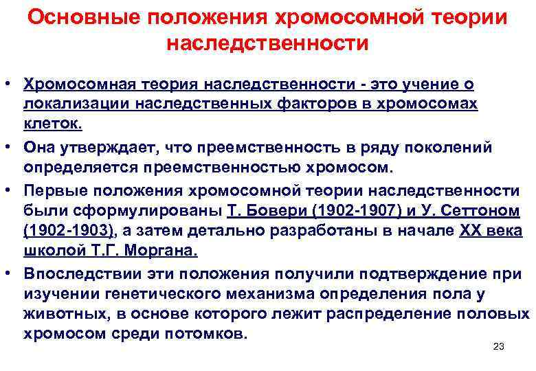  Основные положения хромосомной теории   наследственности • Хромосомная теория наследственности - это