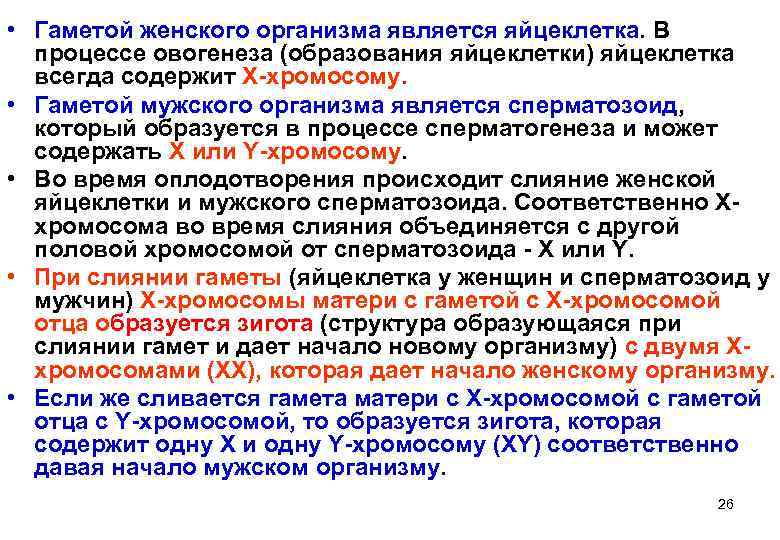  • Гаметой женского организма является яйцеклетка. В  процессе овогенеза (образования яйцеклетки) яйцеклетка