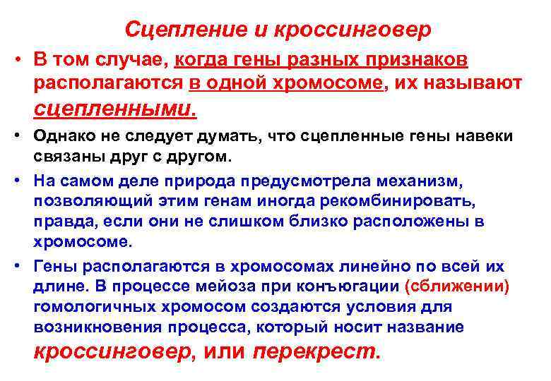   Сцепление и кроссинговер • В том случае, когда гены разных признаков 
