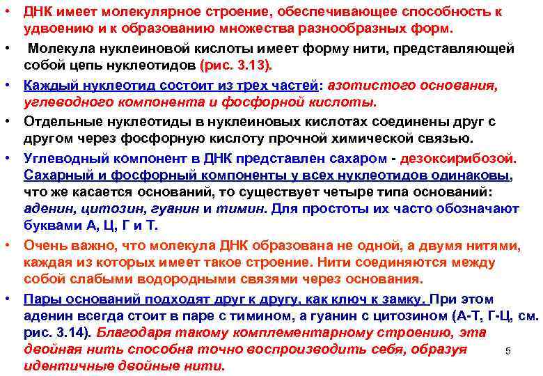  • ДНК имеет молекулярное строение, обеспечивающее способность к  удвоению и к образованию