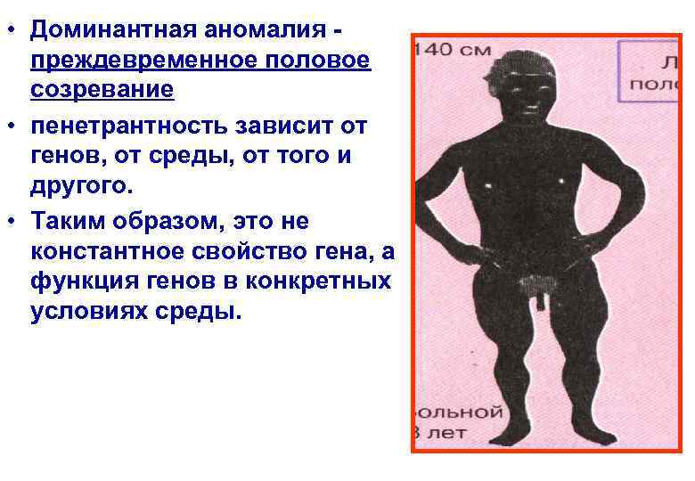  • Доминантная аномалия -  преждевременное половое  созревание  • пенетрантность зависит