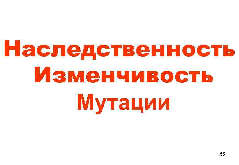 Наследственность  Изменчивость Мутации    55 