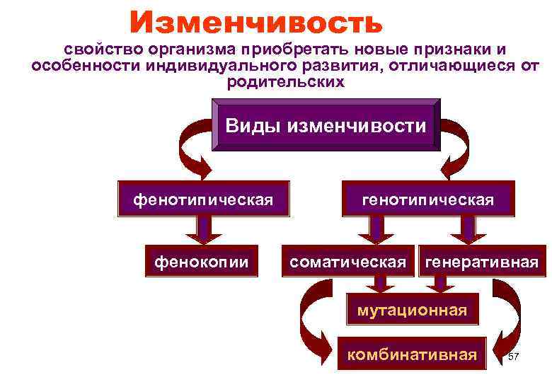 Признаки приобретенные организмом