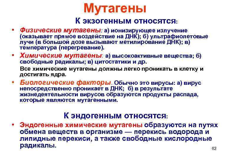     Мутагены     К экзогенным относятся:  •