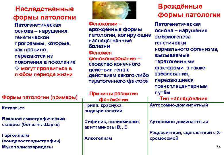   Наследственные    Врождённые формы патологии     