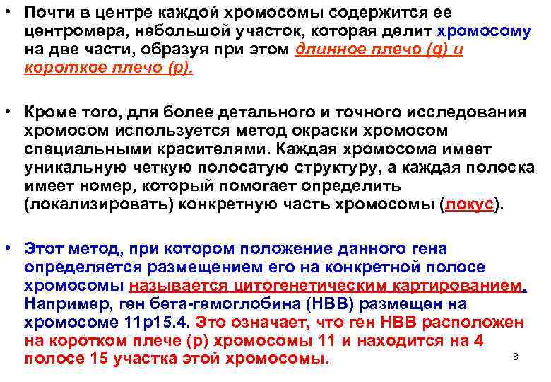  • Почти в центре каждой хромосомы содержится ее  центромера, небольшой участок, которая