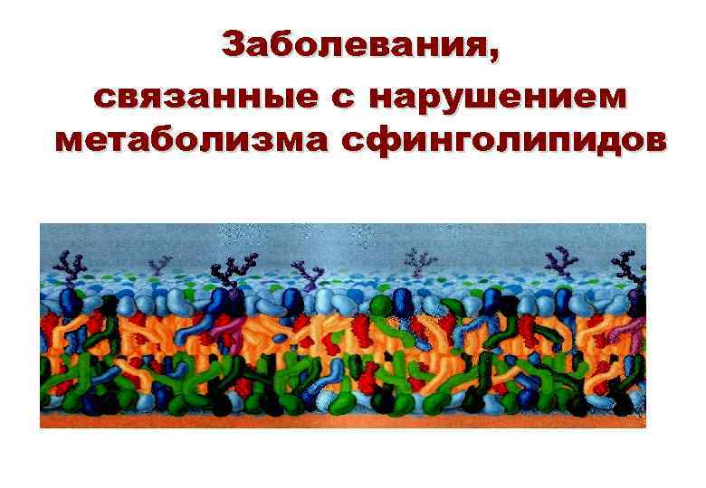   Заболевания,  связанные с нарушением   метаболизма сфинголипидов 