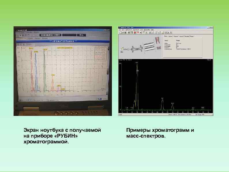 Экран ноутбука с получаемой  Примеры хроматограмм и на приборе «РУБИН»   масс