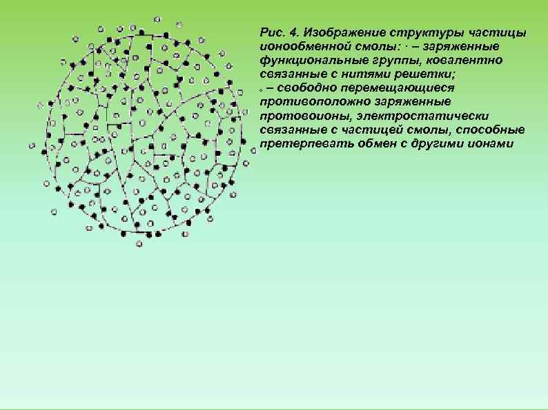 Рис. 4. Изображение структуры частицы ионообменной смолы: · – заряженные функциональные группы, ковалентно связанные