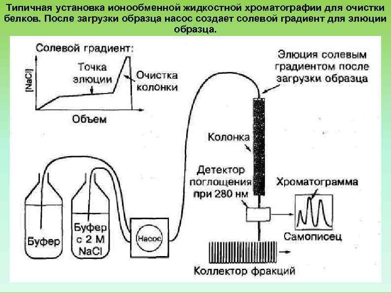 Инжектор в хроматографии